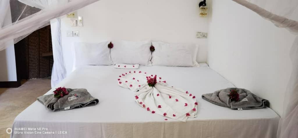 Wow Beach House جامبياني المظهر الخارجي الصورة