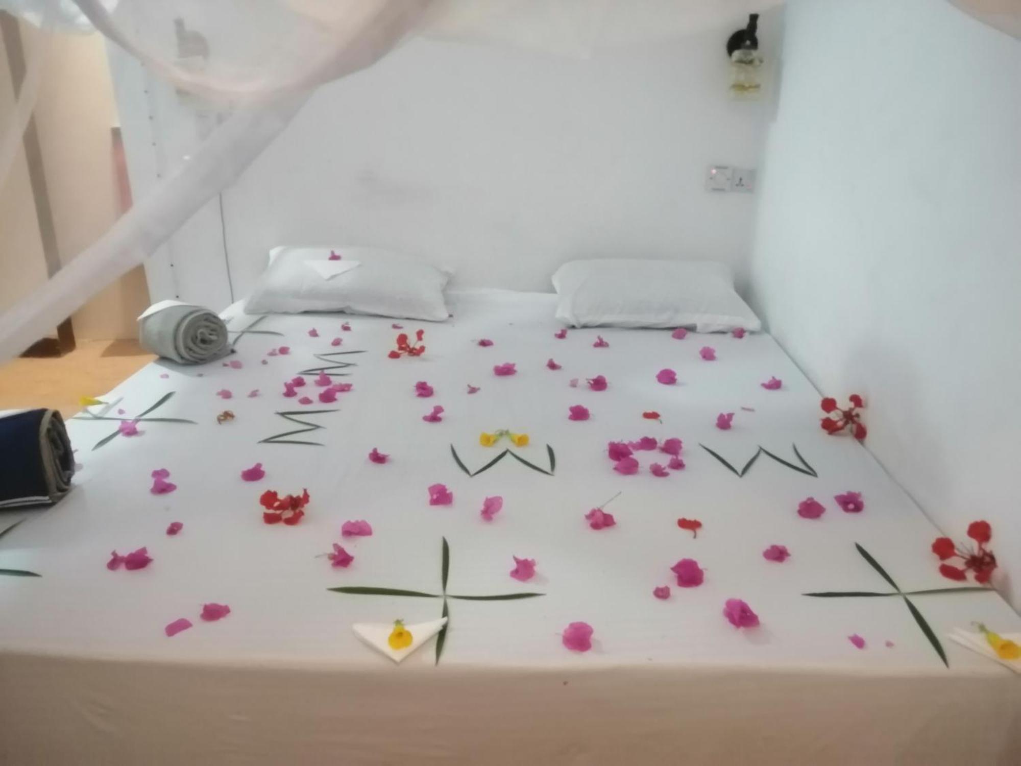 Wow Beach House جامبياني المظهر الخارجي الصورة